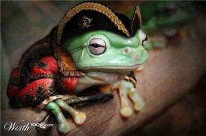 pirate frog