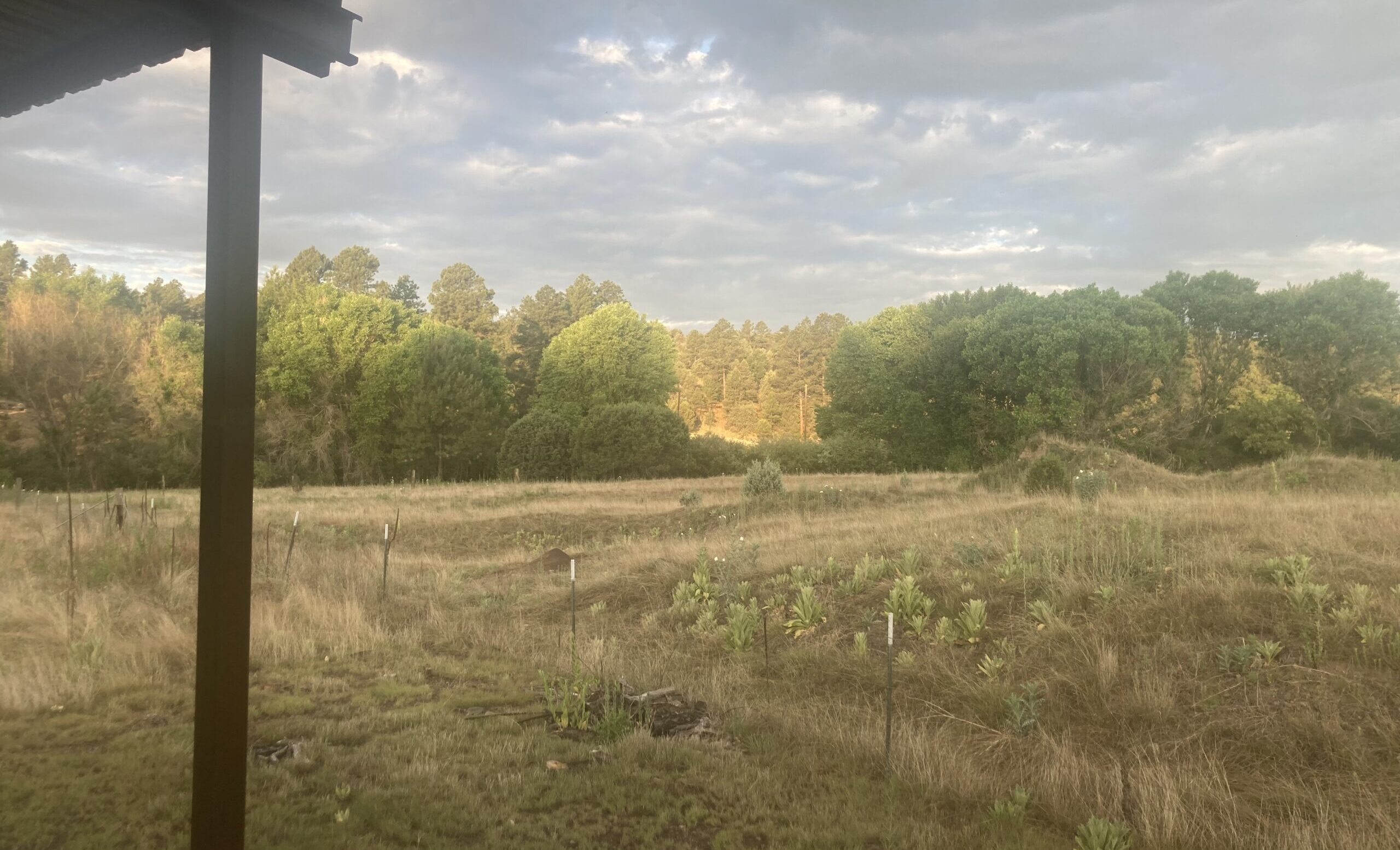 pretty light between the rainstorms